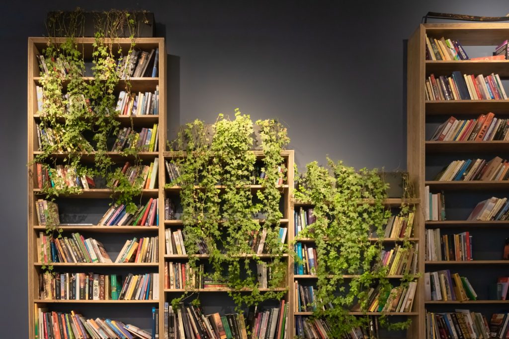 bibliothèque murale avec plantes vertes