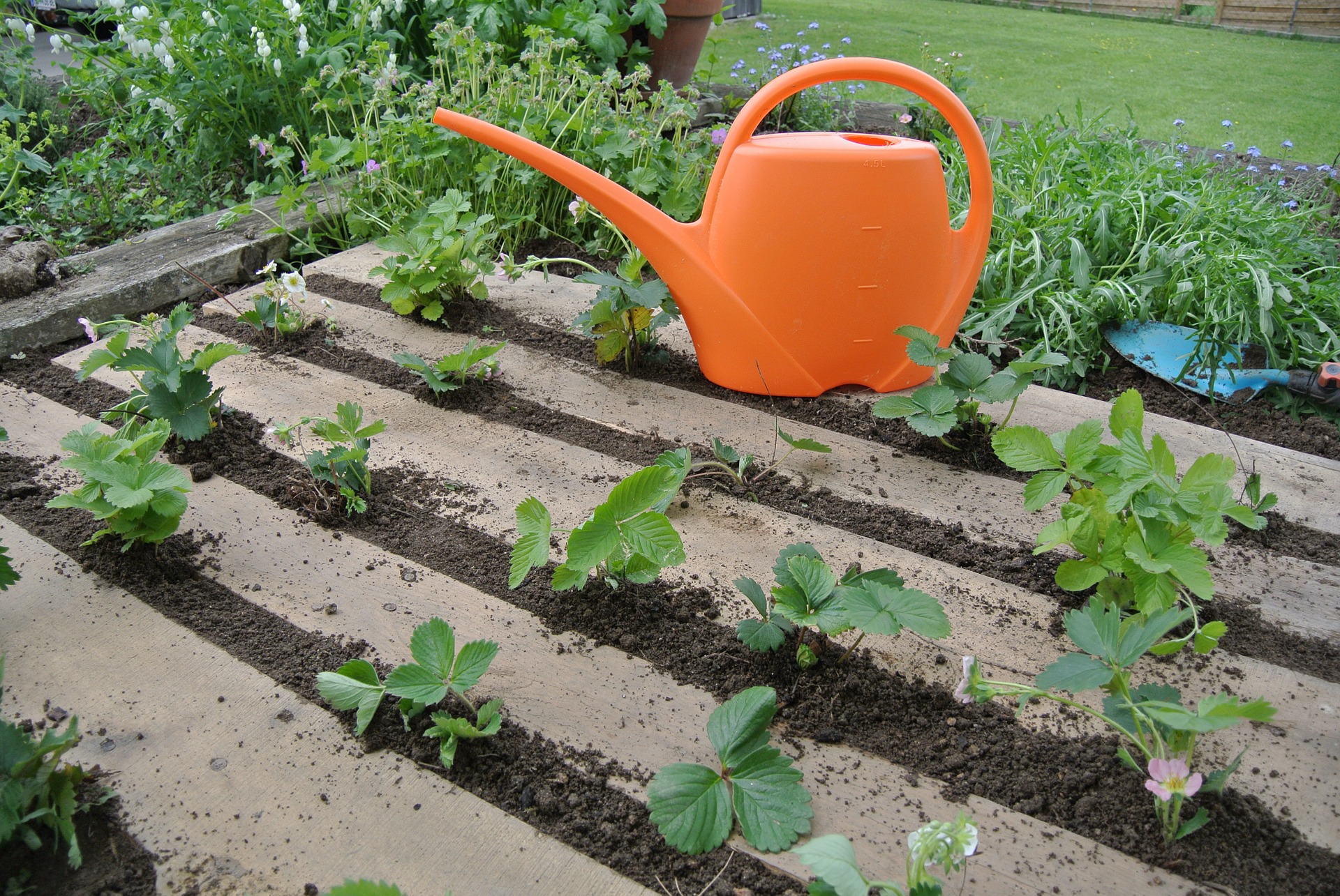 potager en palette
