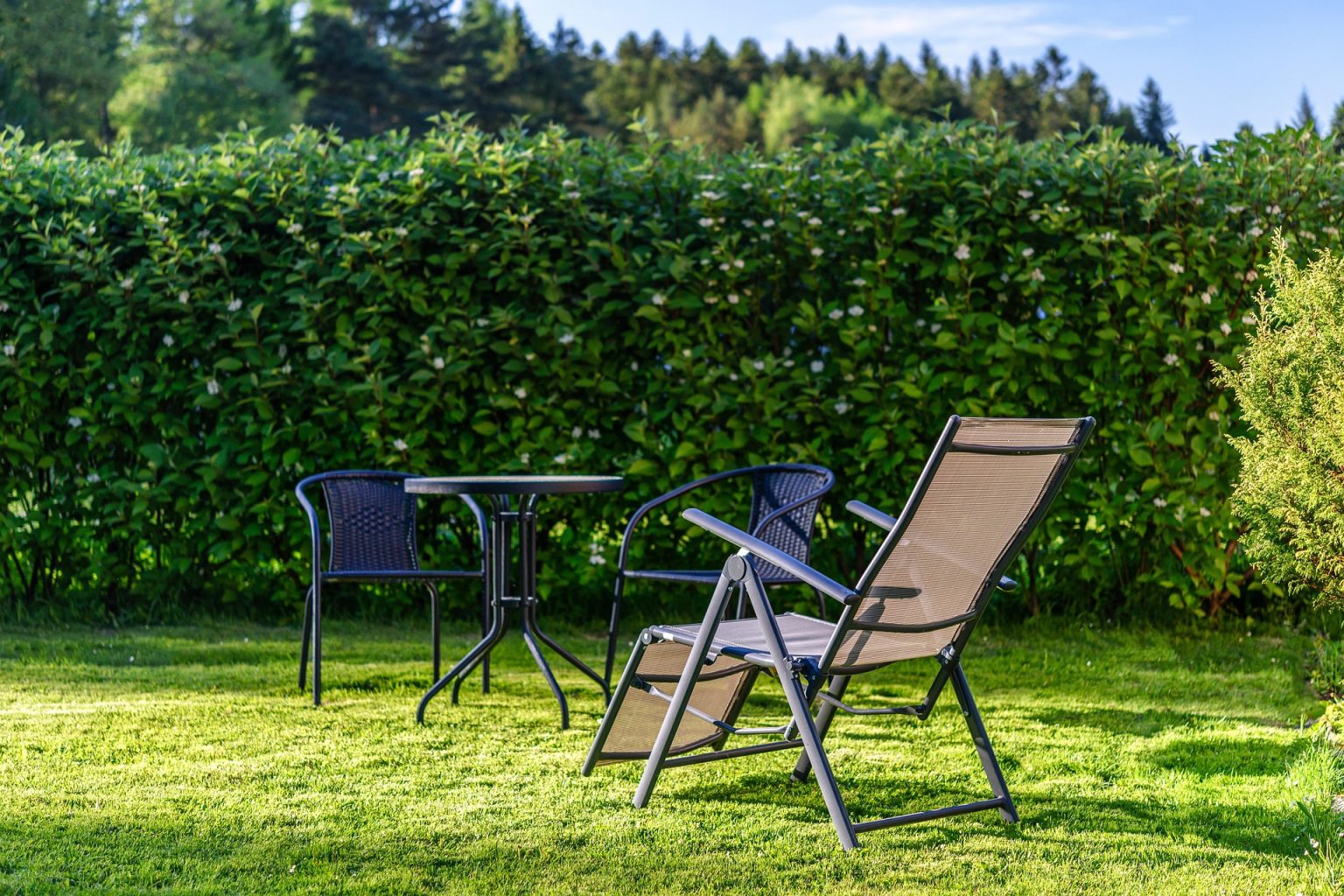 Mettre en place sa haie de jardin à pousse rapide