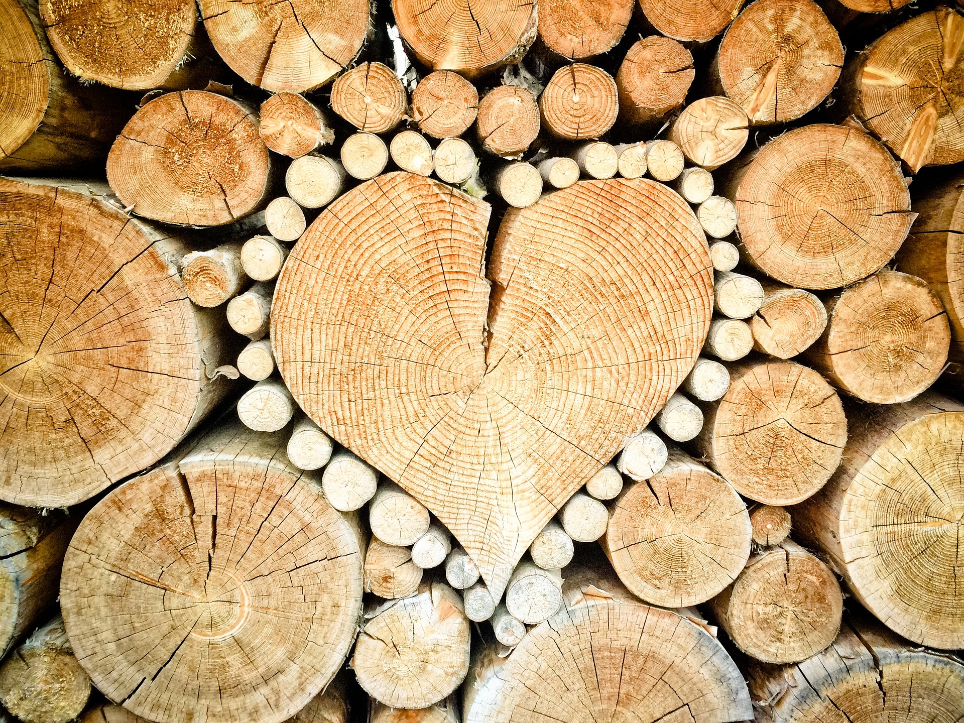 que faire avec des rondins de bois pour noel - IMG de garde