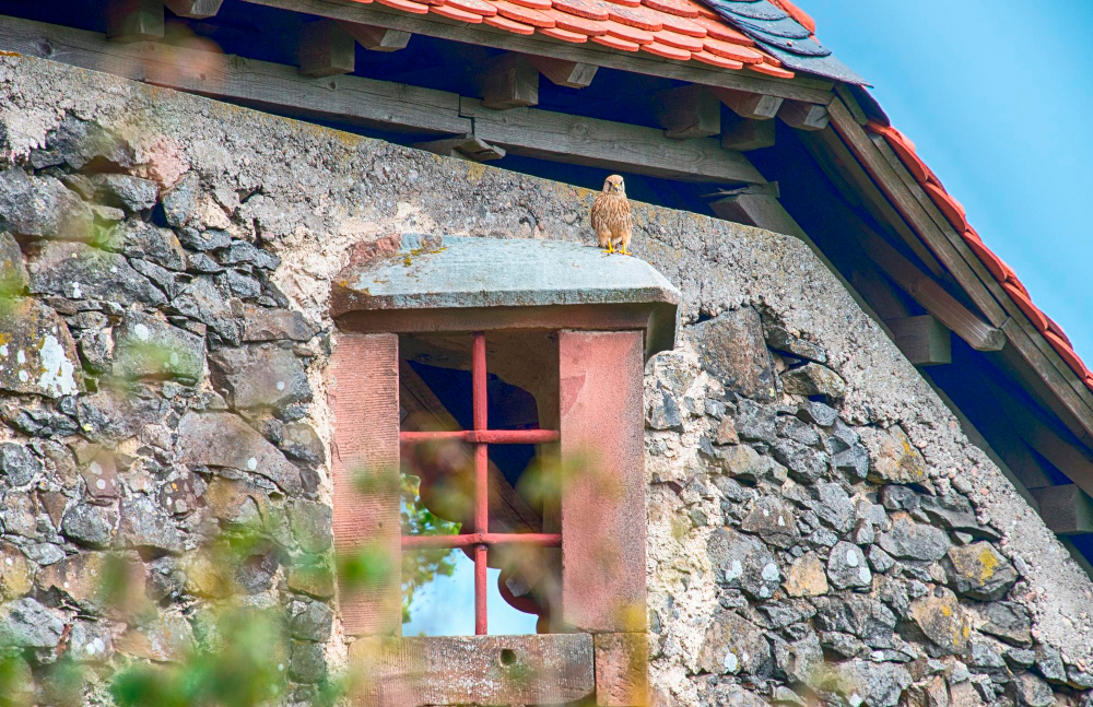 L'état structurel et les spécificités techniques d'une maison en pierre