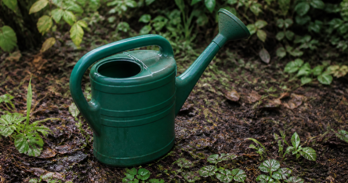 Arrosoir rempli d'eau posé sur terre humide jardin